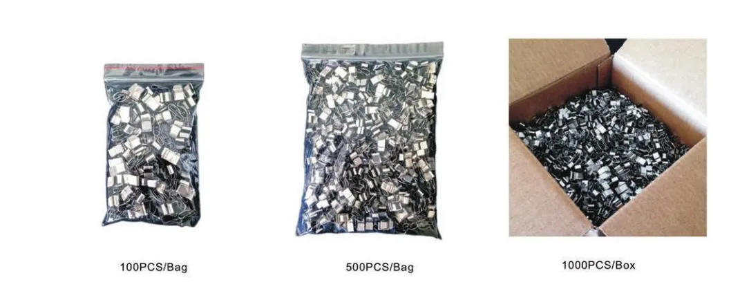 Standard Export Carton