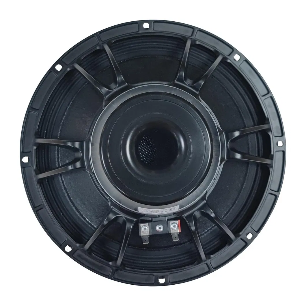 Speaker Driver Back View