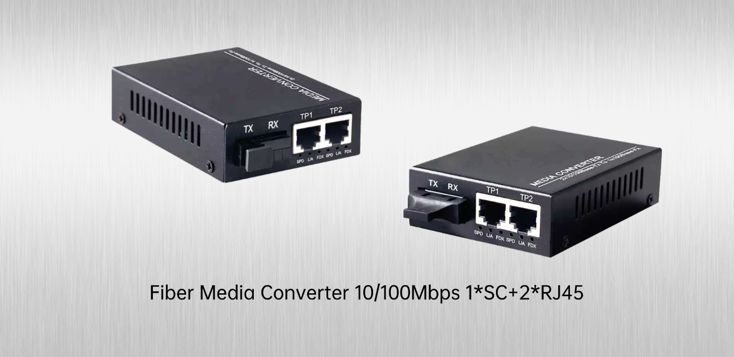 Optical Fiber and RJ45 Ports