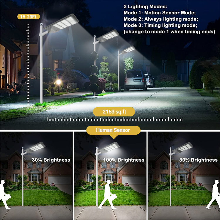Solar Street Light Gallery 5
