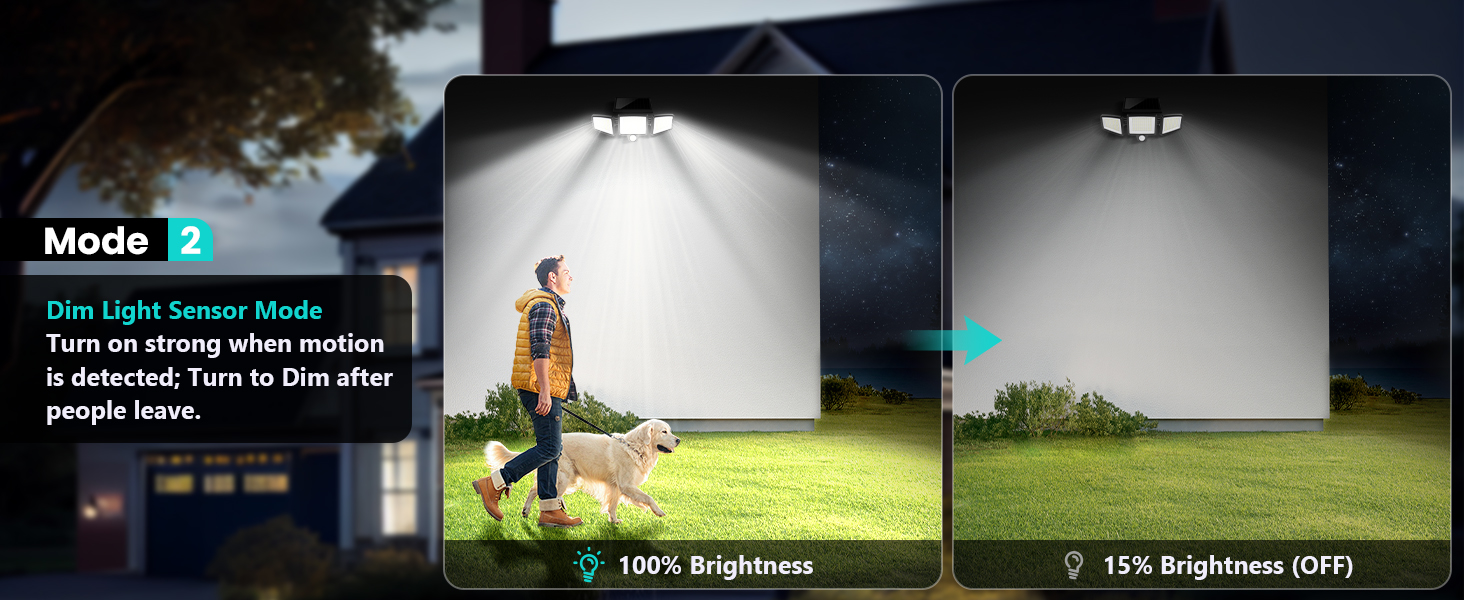 Solar Light Scene 5