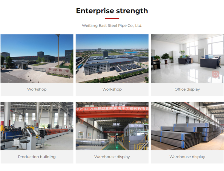 Fixed Tilt Solar Mounting System Zn-Al-Mg Coated Steel Ground Racks for Reliable Support Manufacturer