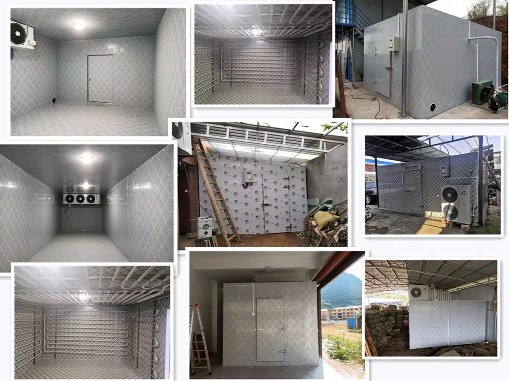 Solar Cold Storage Chill Walk in Freezer Room with Built-in Battery Storage System Refrigeration Equipment