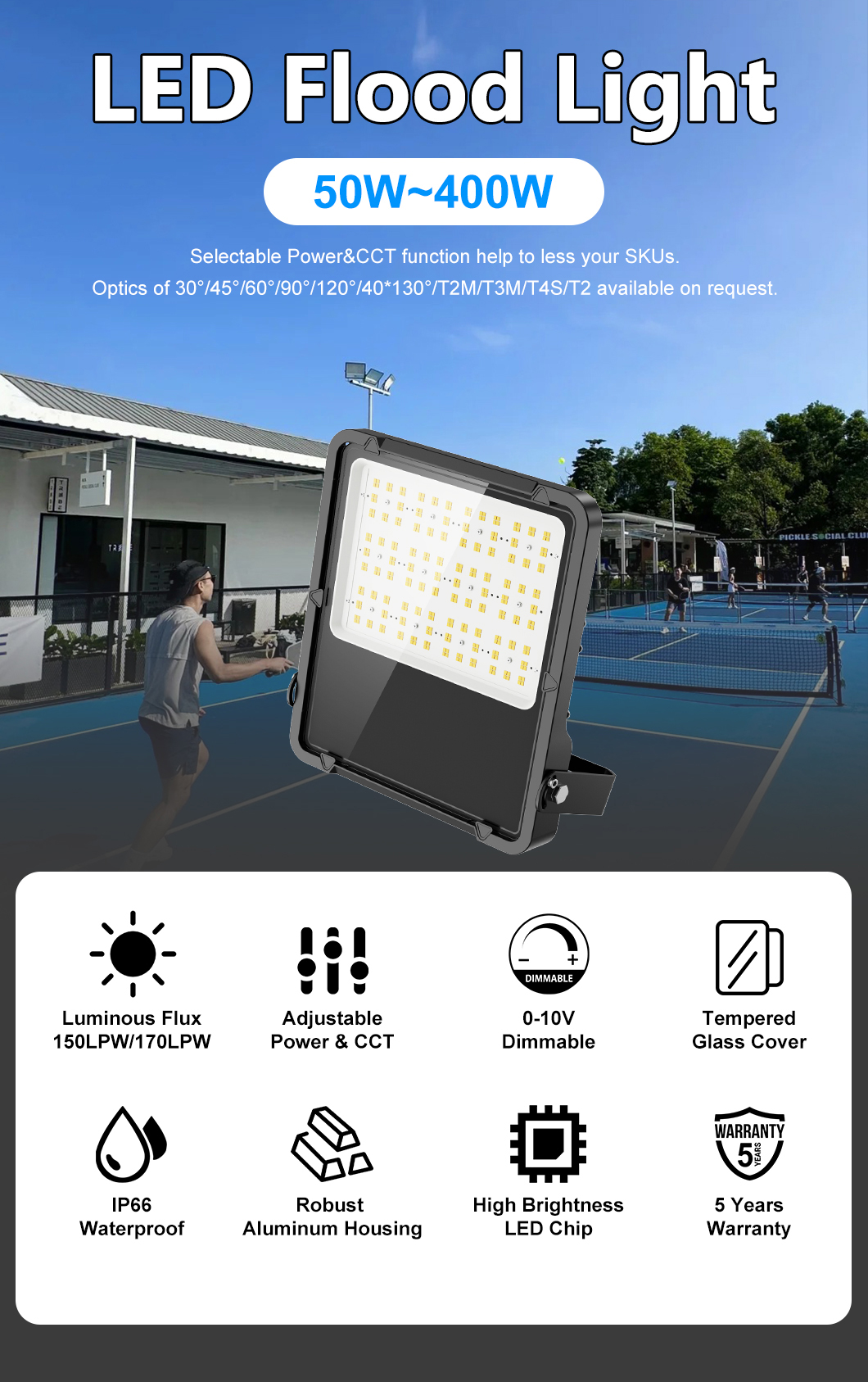 LED Flood Light