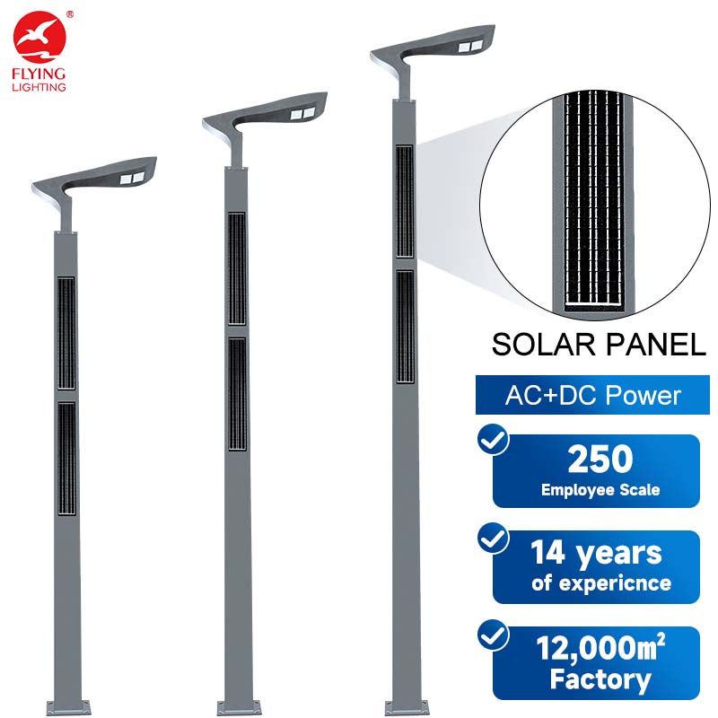 AC&amp;DC Hybrid Solar LED Street Light Outdoor Waterproof IP65 All in One Integrated Modern Pole Lights for Industrial Highway Road