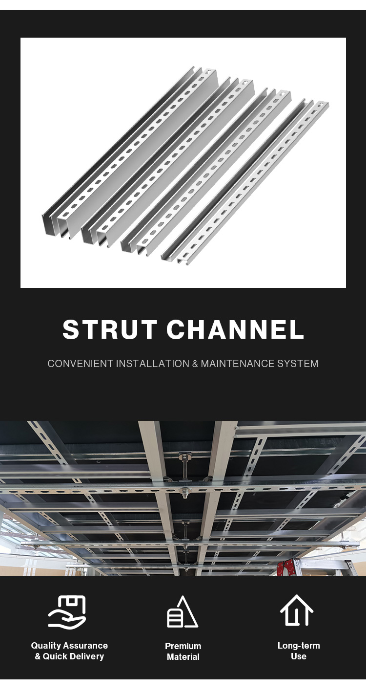 Strut Support System Element 2