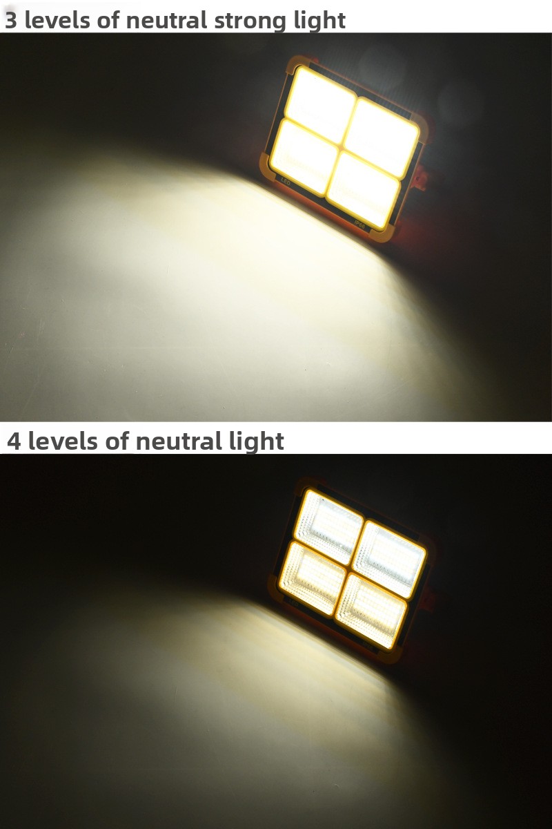 Solar Floodlight 10