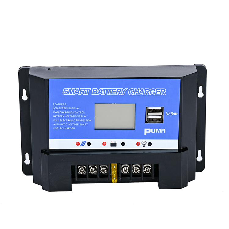 10a 20a 30a Lithium Iron Lifepo4 Battery Charger Regulators Stabilizers 12V 24V Auto Dual USB PWM Solar Charge Controller