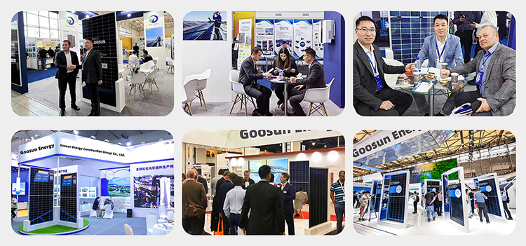 Exhibition Highlights