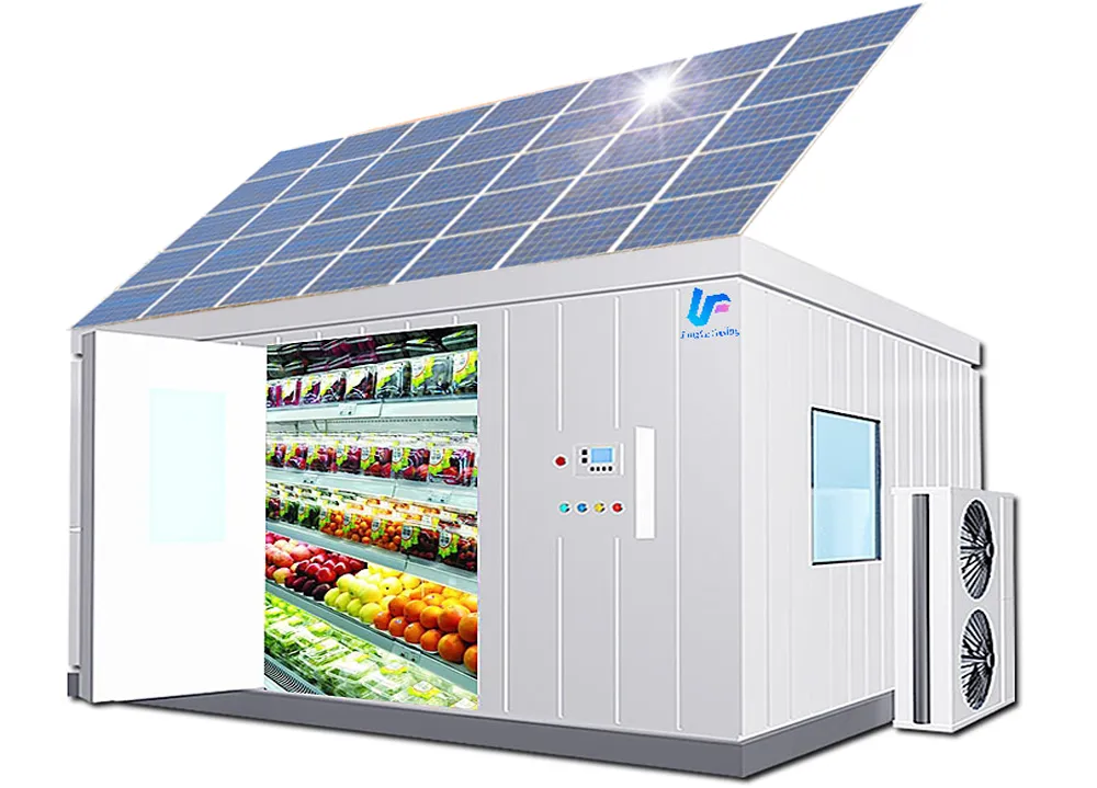 Solar Cold Storage Chill Walk in Freezer Room with Built-in Battery Storage System Refrigeration Equipment