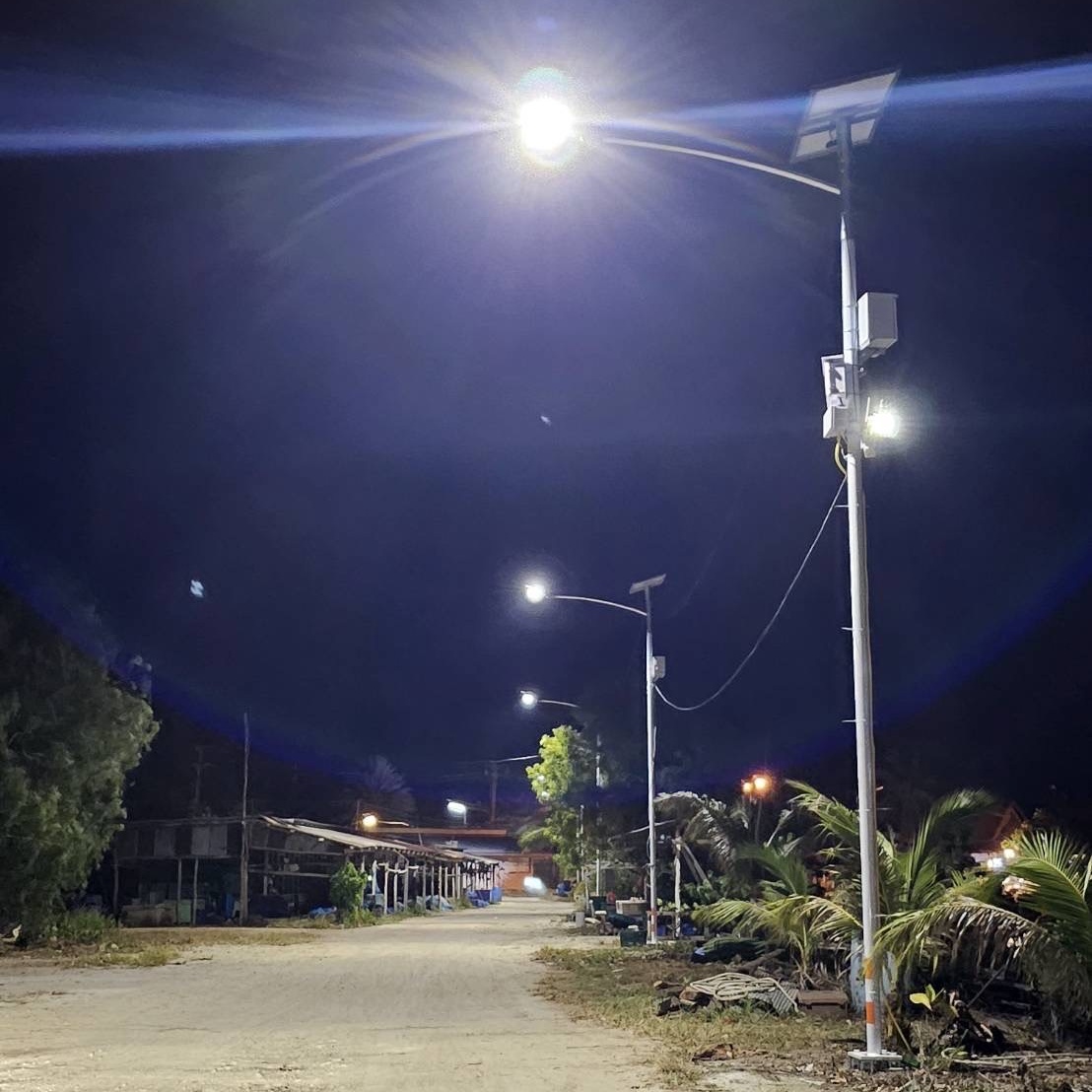 Solar street light structural design