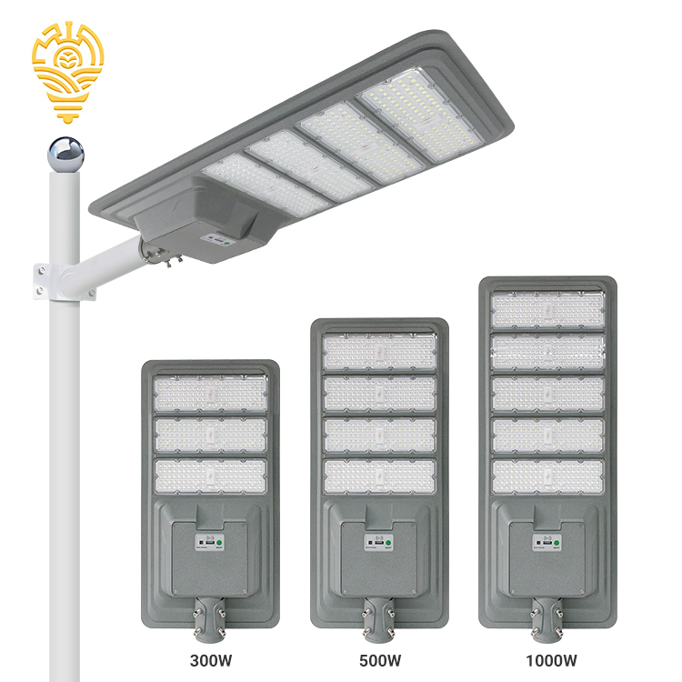 Solar Street Light Gallery 1
