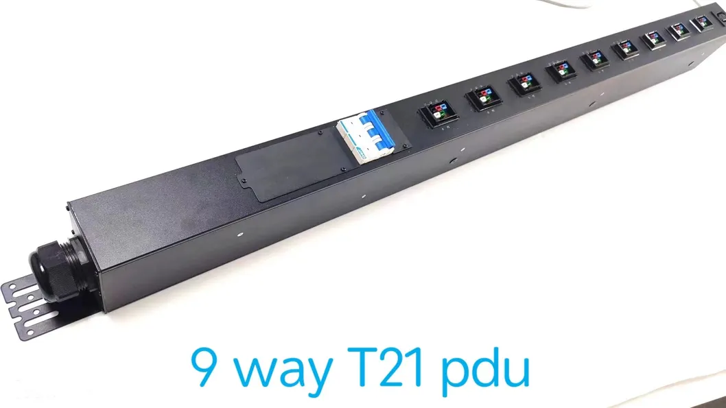 Custom PDU Model A