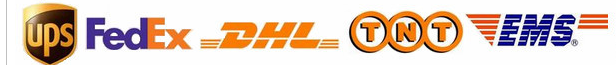 Logistic Transport Service Overview