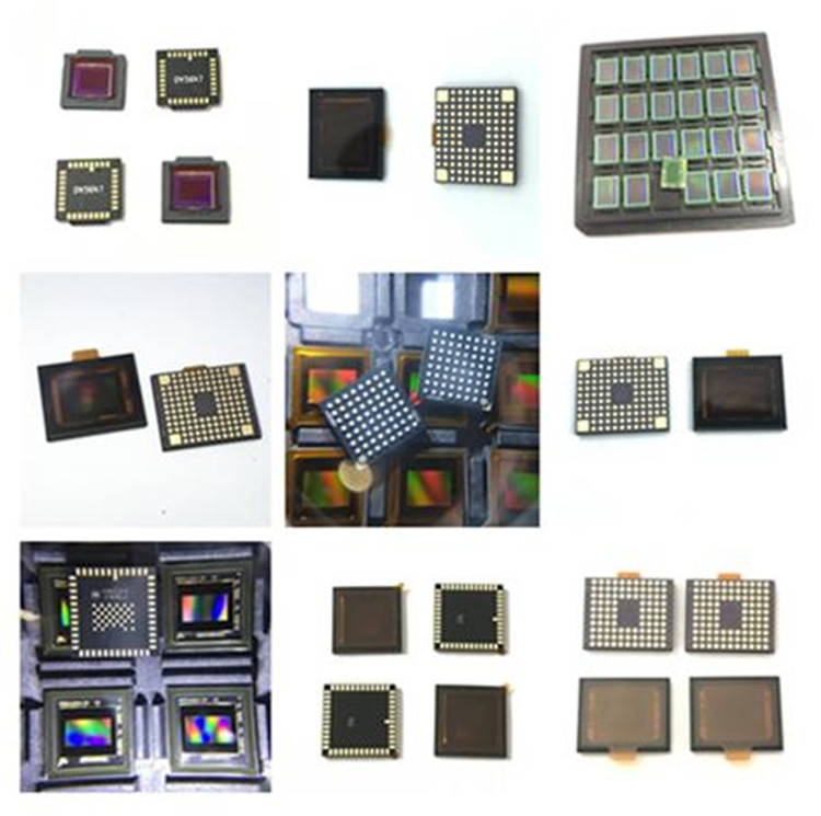 Related Product 1