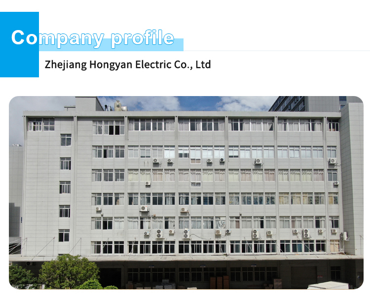 Company Introduction