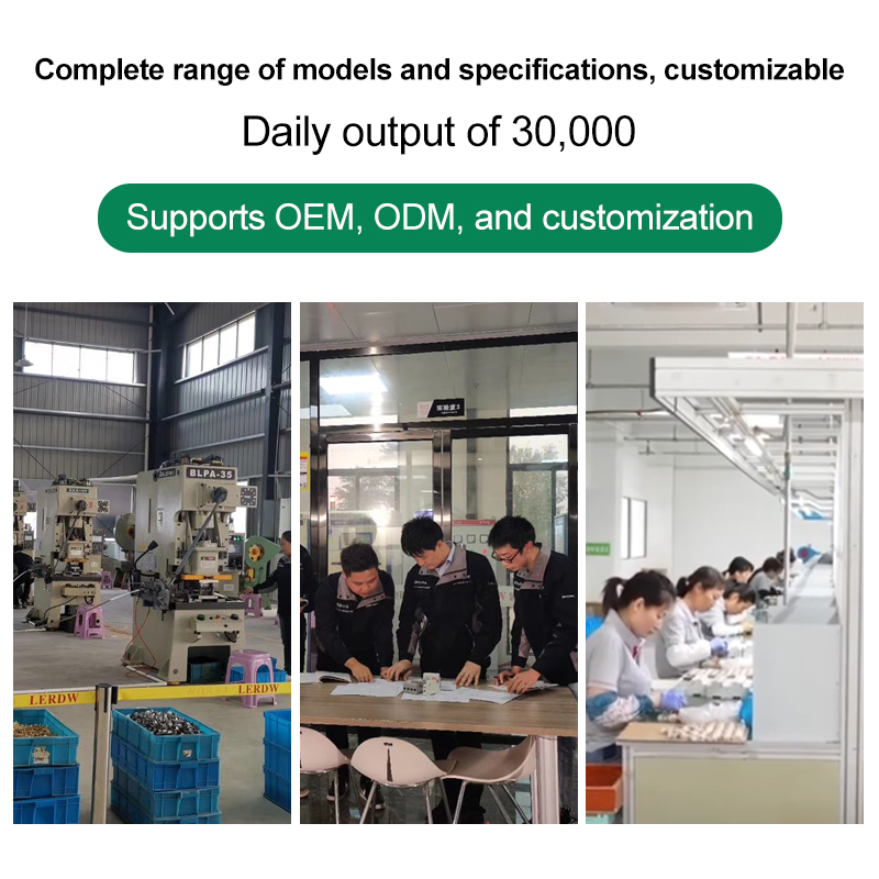 CE TUV Certified SPD 2 Poles 40KA lightning Arrester Type T2 20kA-40kA 230V400V AC Surge Protector