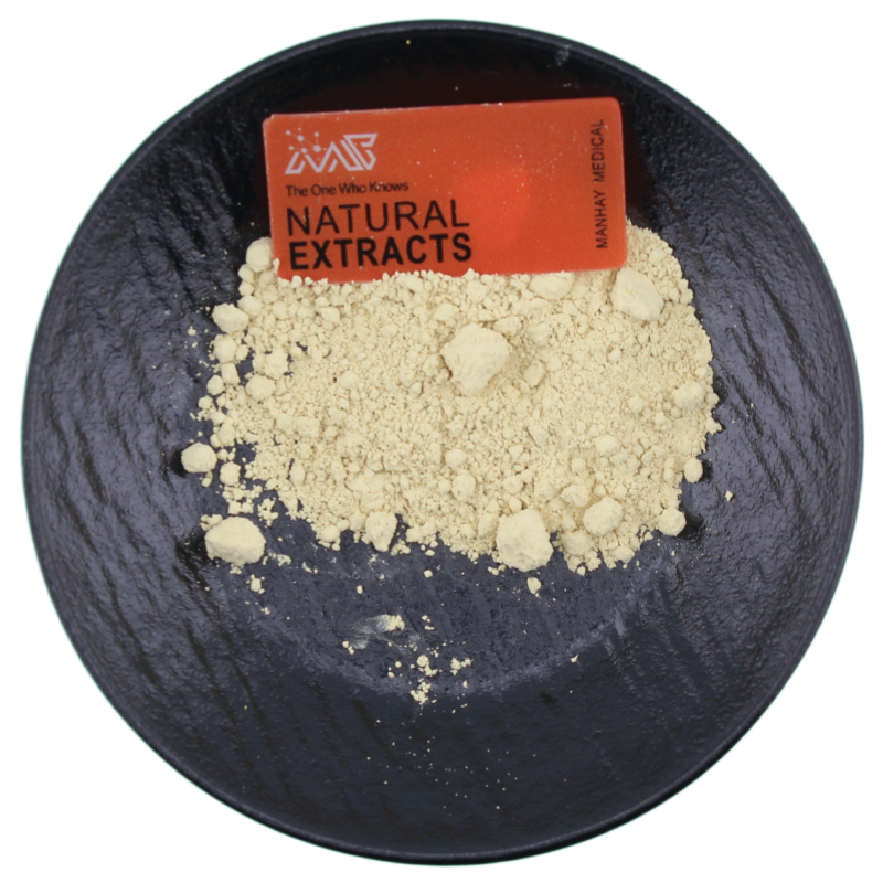 Natural Best Price 1%-98% Kaempferol Powder | Plant-Derived Antioxidant Ingredient