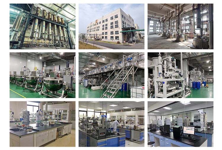 Production Line View