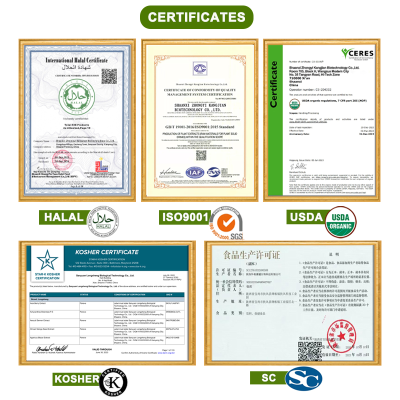 Private Label Customized Formula10 IN1 8 in 1 Mushroom Mix Mushroom Complex Powder Organic Mushroom Powder Blend