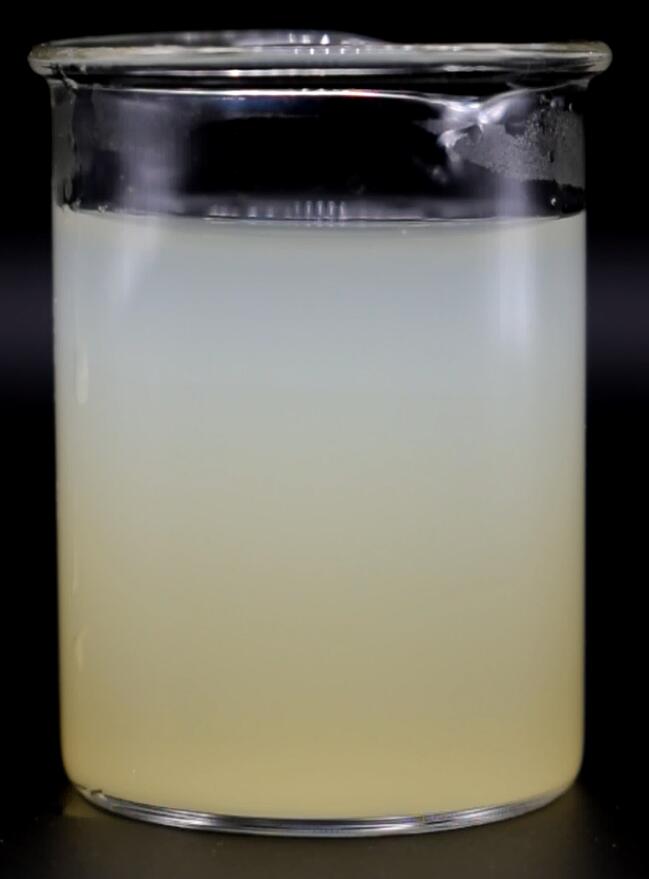 Testing Process