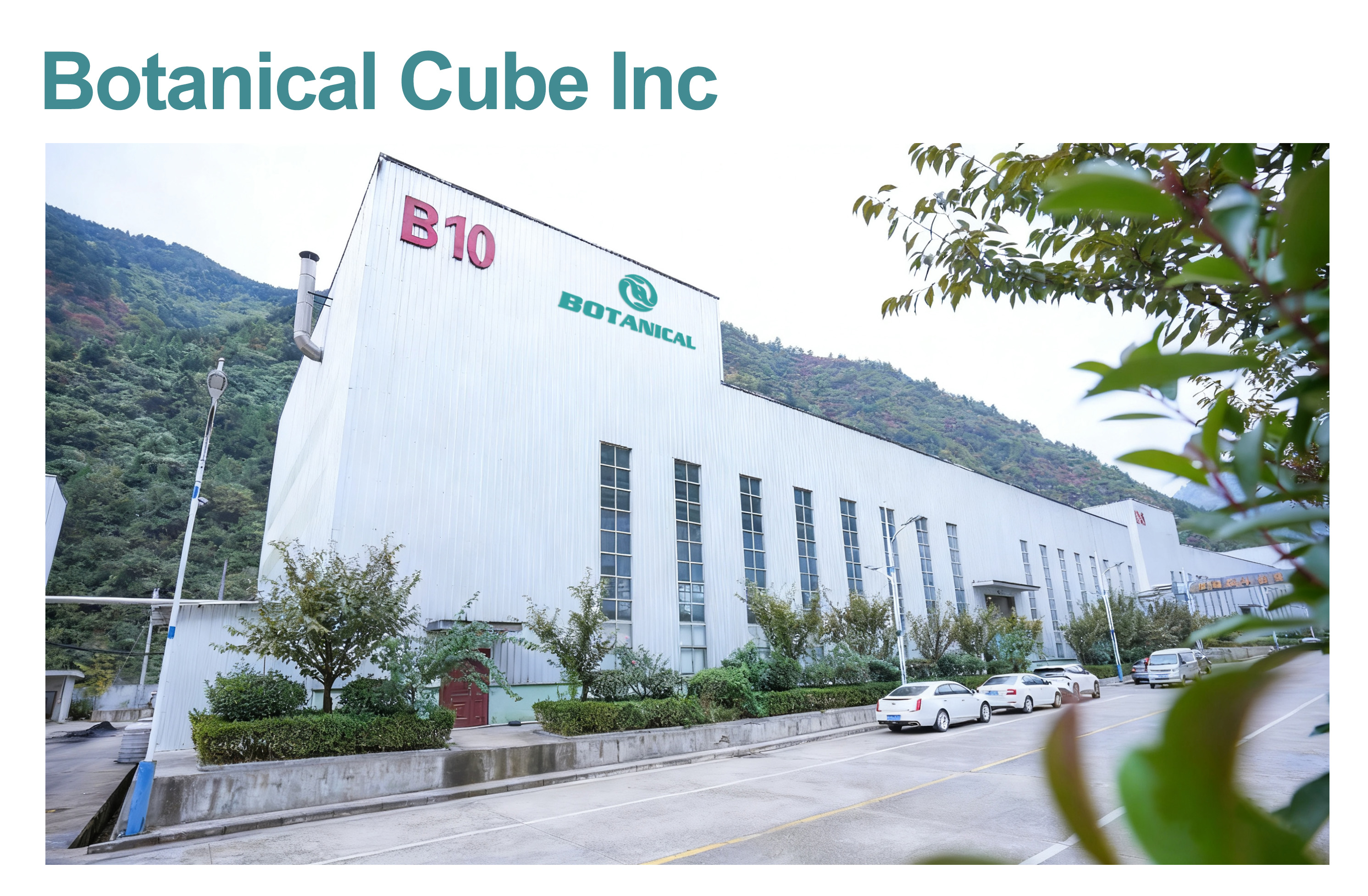 Production Facility