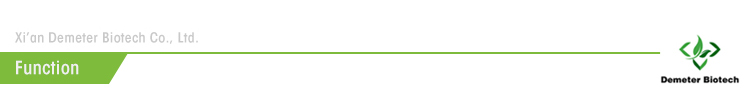 Application Image 3