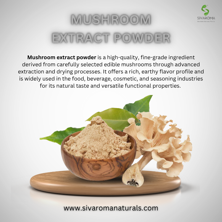 Industrial Grade Mushroom Extract Powder