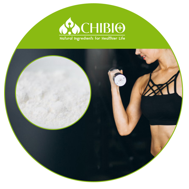 Non-toxic Hot Sale 97%-103% L- Carnitine Powder Pure Ingredients for Weight Management