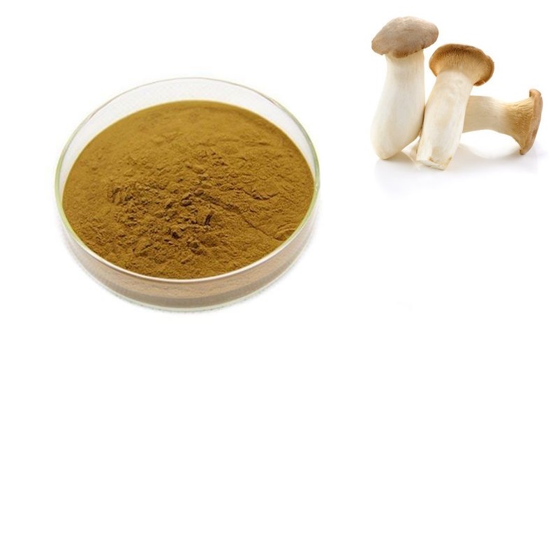 King Oyster Mushroom Extract Powder Plant Based Functional Ingredient Bulk Supply Manufacturer