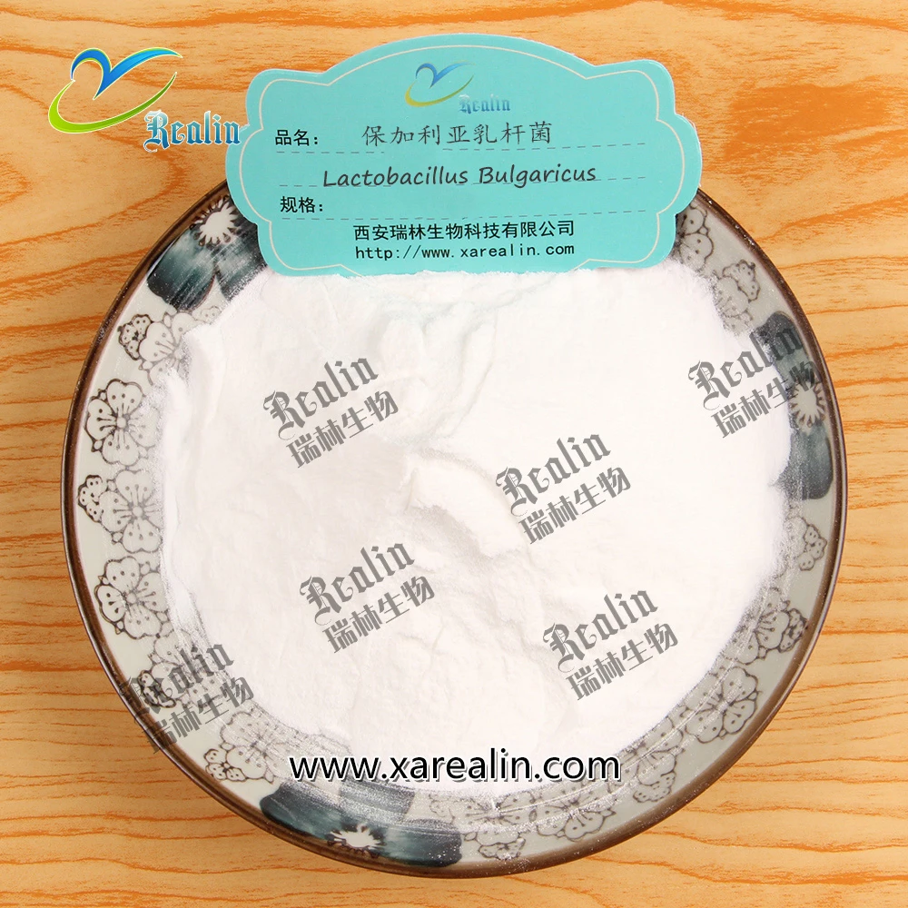 Lactobacillus Bulgaricus Powder