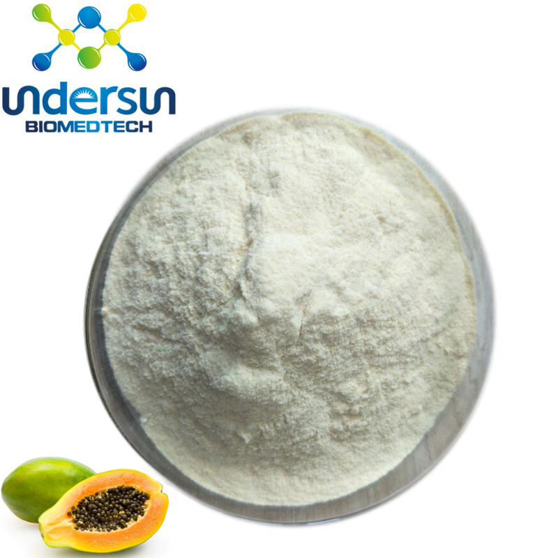 Papain Enzyme Powder