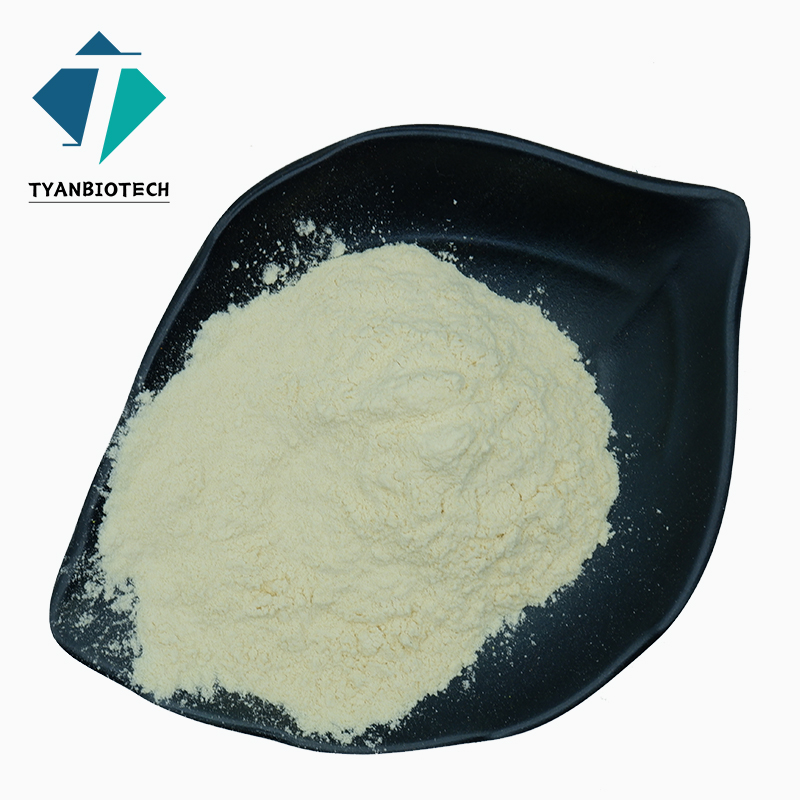 Hydrolyzed Vegan Protein Powder Pea Protein Isolated for Sport Supplement Powder