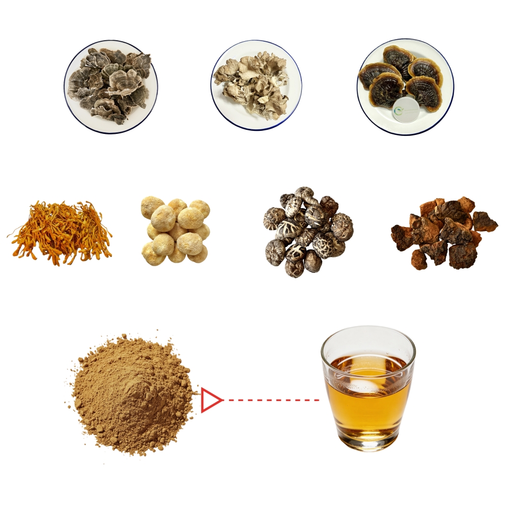 7 In 1 Mushroom Extract Blend Powder 30% Polysaccharides Solid Beverages