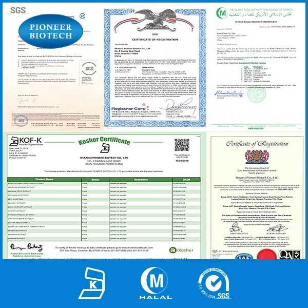 Organic Noni Fruit Extract Powder Quality Standards