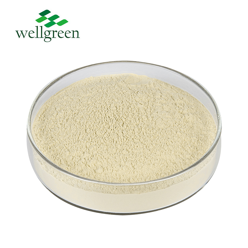 Hot Sales Factory Price Food Ingredients Soy Protein Isolate Suppliers