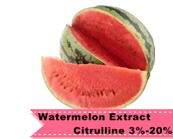 Recommended Product 19
