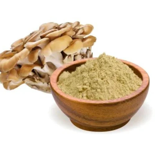 Bulk Wholesale Maitake Mushroom Powder Pure Dried Mushroom Powder for Herbal Supplements, Capsules &amp; Functional Food Ingredients