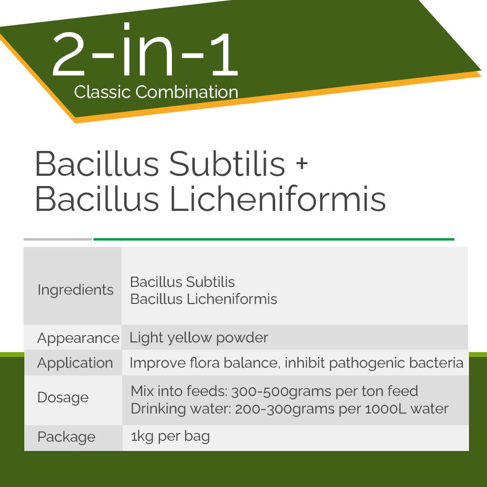 Water Soluble Powder Bacillus Probiotic For Poultry Gut Health Flora Regulation