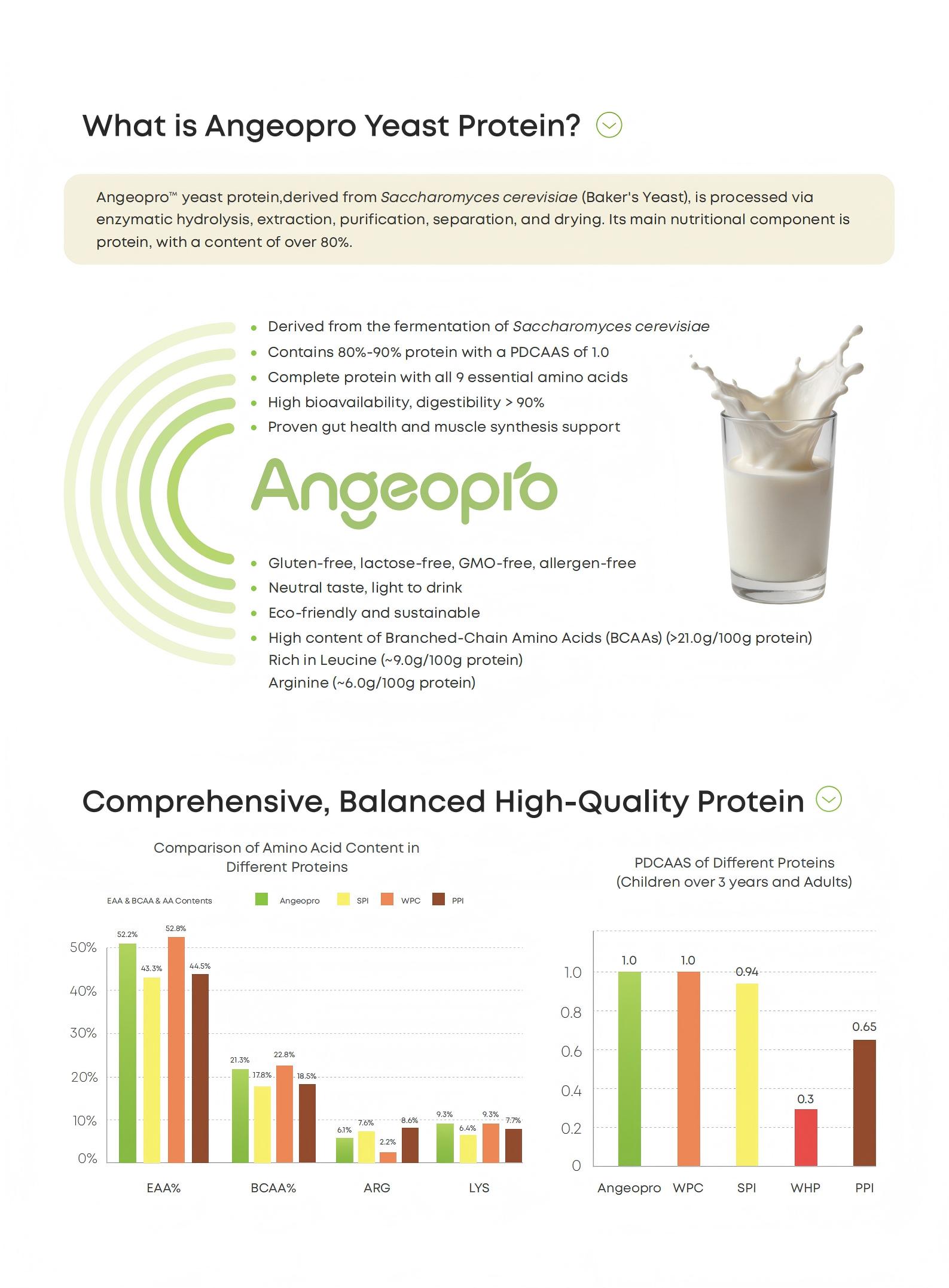 2026 Angeopro Yeast Protein Fermented High Yeast Protein Extract Powder Hydrolyzed Yeast Protein Powder For Supplement/food