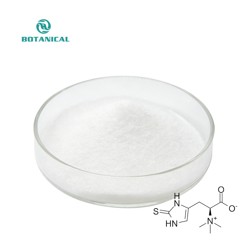 High Quality Ergothioneine (EGT) 99% High Purity Natural Antioxidant for Anti-Aging &amp; Cellular Health