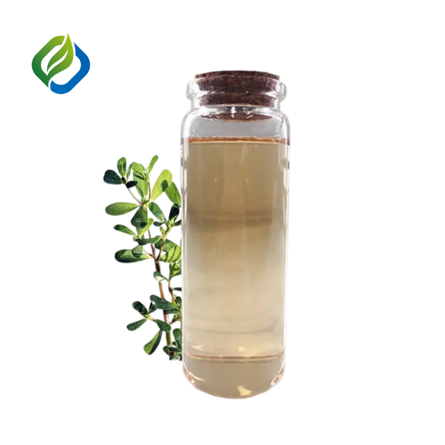 Portulaca Oleracea Extract Natural Chinese Herbal Extract Skincare Ingredients