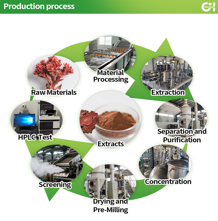 Production Process Image 10