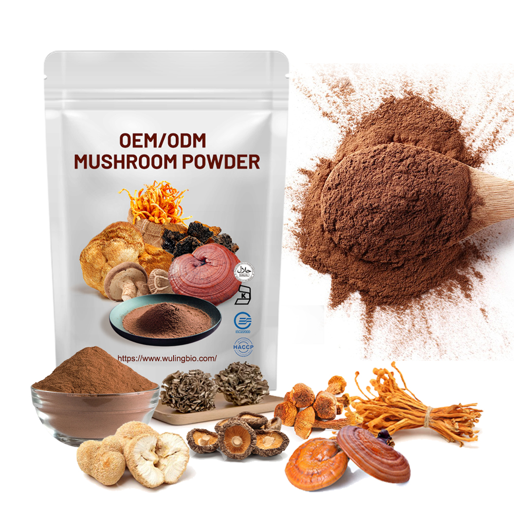 Lions Mane Blend Maitake, Chaga, Cordyceps, Ganoderma Reishi Mushroom Extract Powder Multi-Mushroom Formula Private Label
