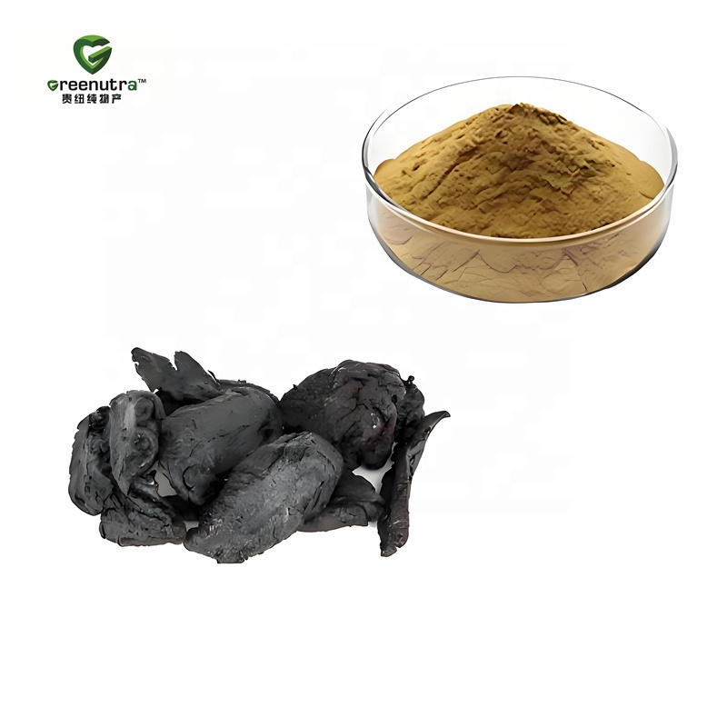 Radix Rehmanniae Extract Powder Glutinosa Extract Premium Quality Bulk Ingredients for Herbal Supplement Manufacturing