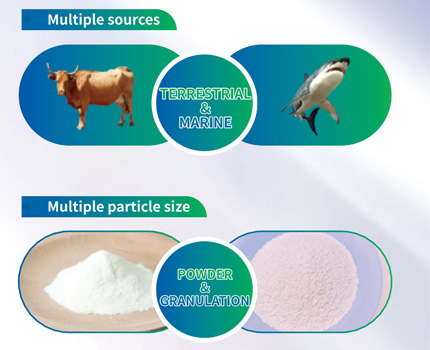 Chondroitin Sulfate Details