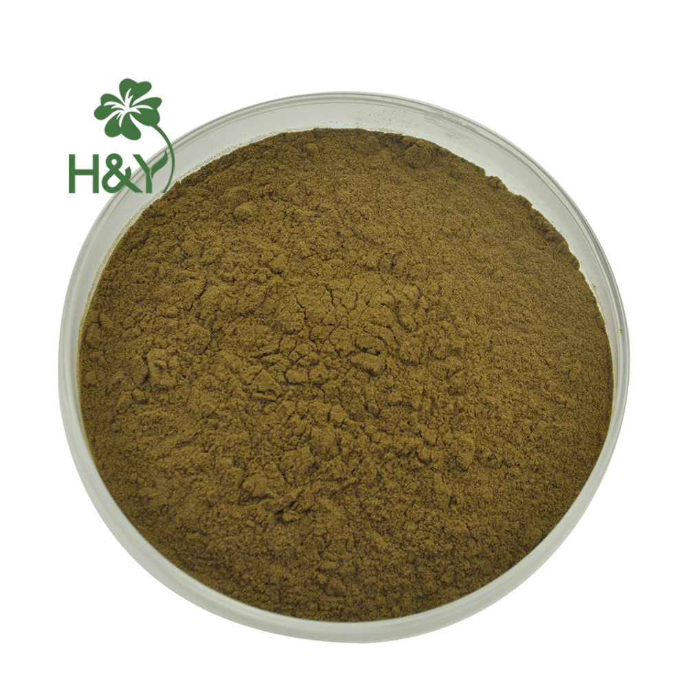 100% Natural High Quality Coptis Chinensis Extract Bulk Supply