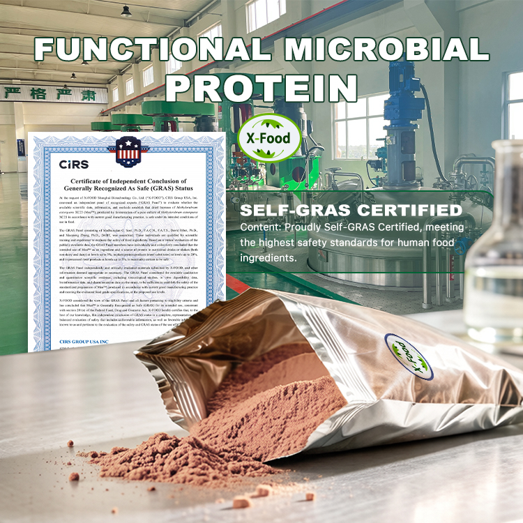 Fermented Protein Powder Model Scp a | Functional Protein Ingredient Bulk Supply From China