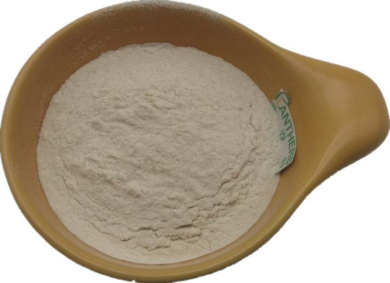 Factory Flavor Enzyme Enzyme Powder Flavourzyme Powder 30,000 U/g Food Grade Flavourzyme Enzyme Powder