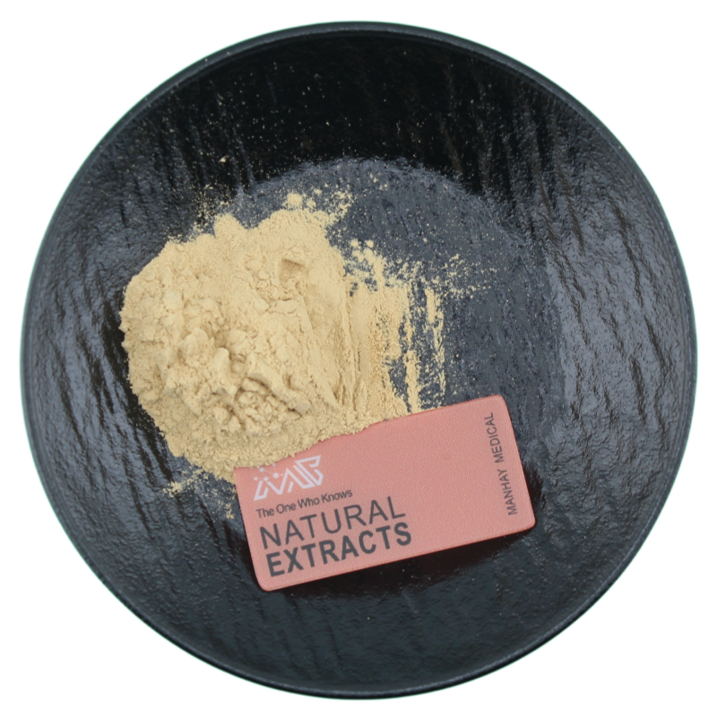 Manhay Supply Pediococcus Pentosaceus Food Ingredients Probiotics Powder
